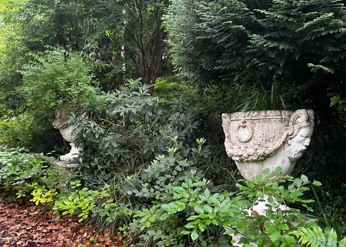 Angela Neuer Rosengarten *