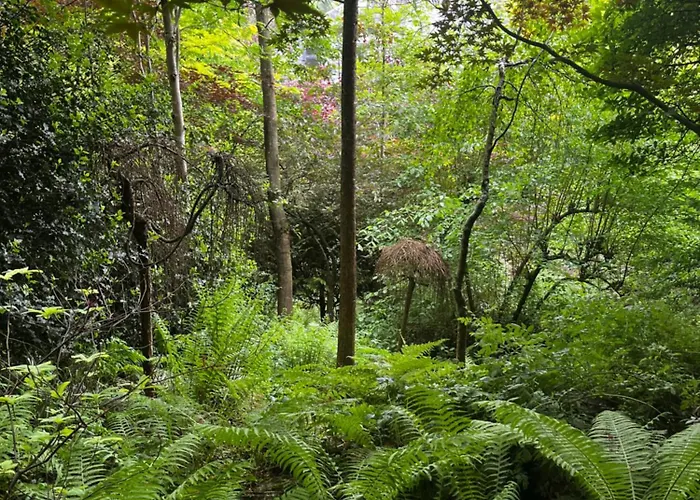 Angela Neuer Rosengarten Villa *